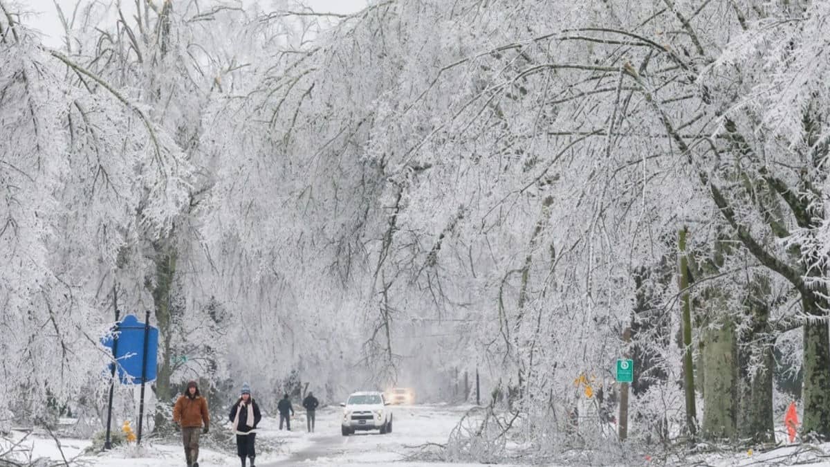 Fresh Arctic Blast Expected In Storm-Hit Southern US Amid Power Outages