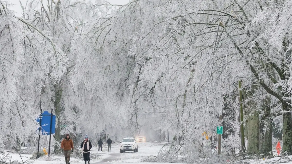Fresh Arctic Blast Expected In Storm-Hit Southern US Amid Power Outages