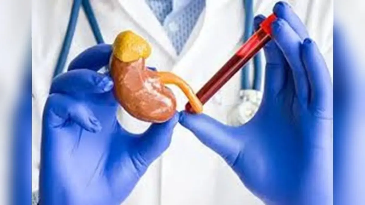 From 5.8 to 0.8 Creatinine: An Integrated Health Perspective Inspired by Swami Ramdev From 5.8 to 0.8 Creatinine: An Integrated Health Perspective Inspired by Swami Ramdev