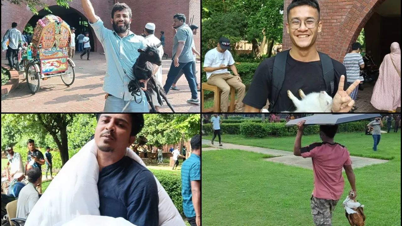 From Goat, Rabbit to LED TV: Things Stolen by Protestors From Bangladesh Prime Minister’s House From Goat, Rabbit to LED TV: Things Stolen by Protestors From Bangladesh Prime Minister’s House