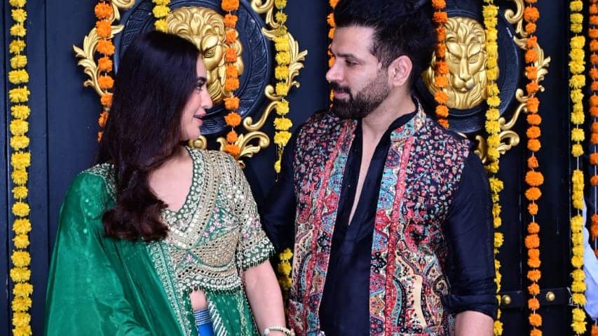 Description of the pic