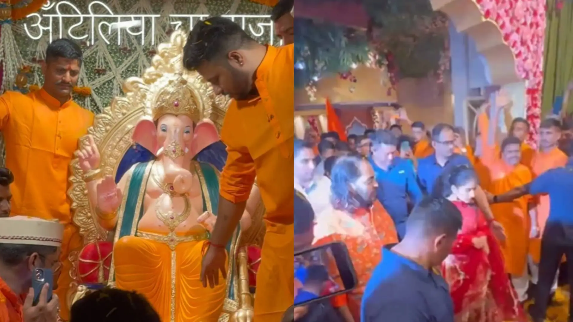 Description of the pic