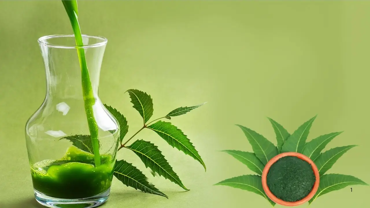 Description of the pic