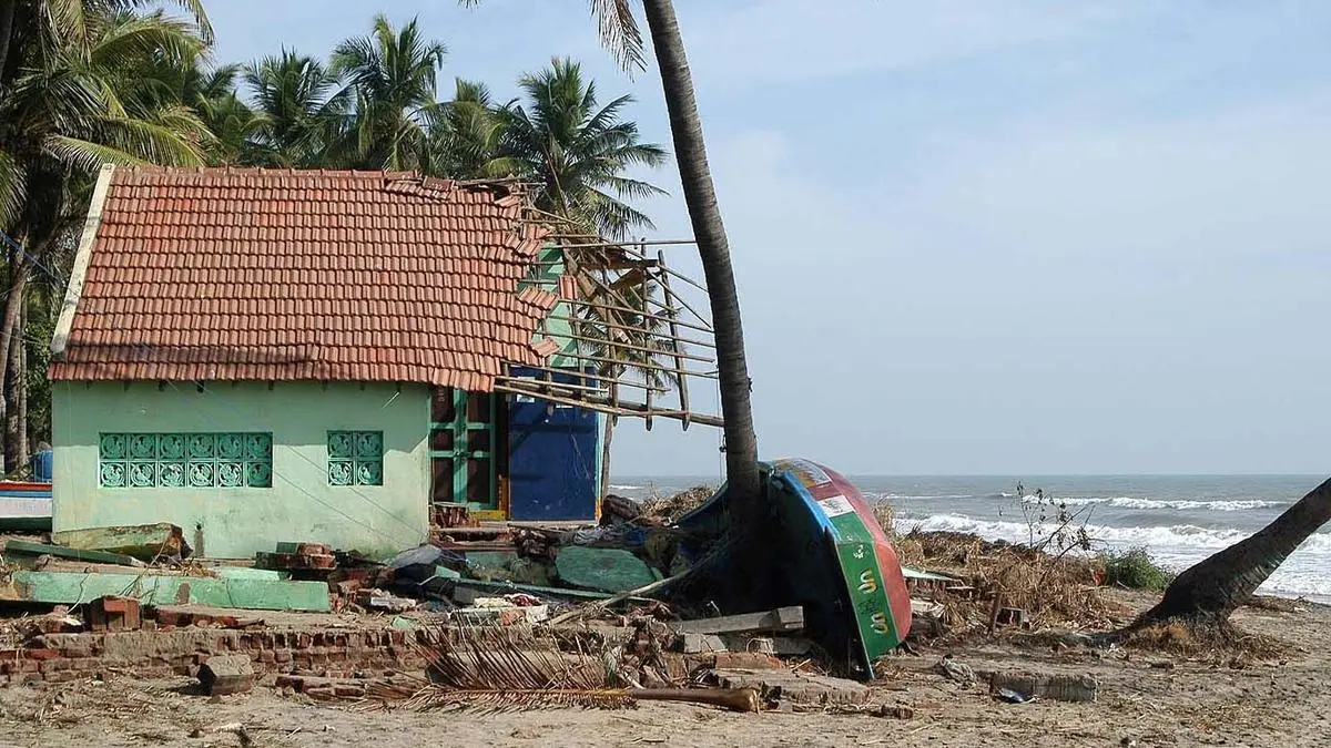 Gave Birth to Son 'Tsunami' in Snake-Infested Jungle, Recalls Woman 20 Yrs After Calamity Gave Birth to Son 'Tsunami' in Snake-Infested Jungle, Recalls Woman 20 Yrs After Calamity