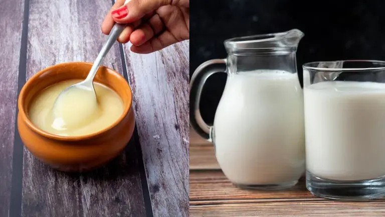 Ghee Milk में छिपा है आपकी खूबसूरती का राज, इस समय में पीने से सेहत पर होगा खास असर; जानें इसके फायदे Ghee Milk