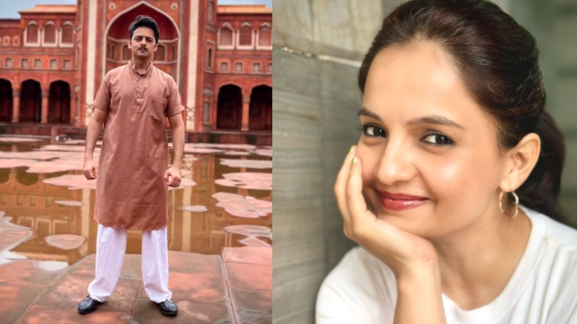 Description of the pic