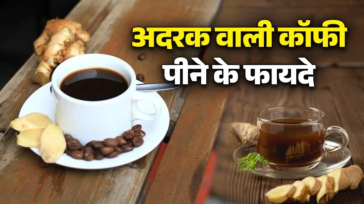 Ginger Coffee For Weight Loss: कॉफी के साथ अदरक मिलाकर पी सकते हैं? जानिए क्या होता है फायदा Ginger Coffee For Weight Loss