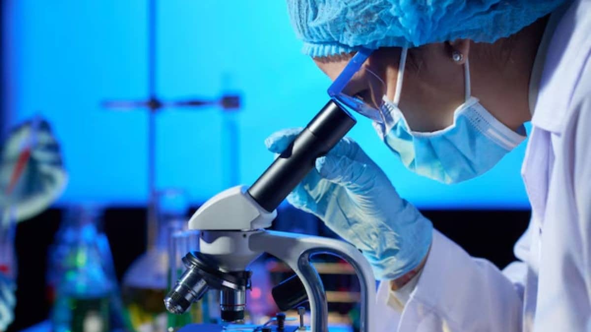 Description of the pic