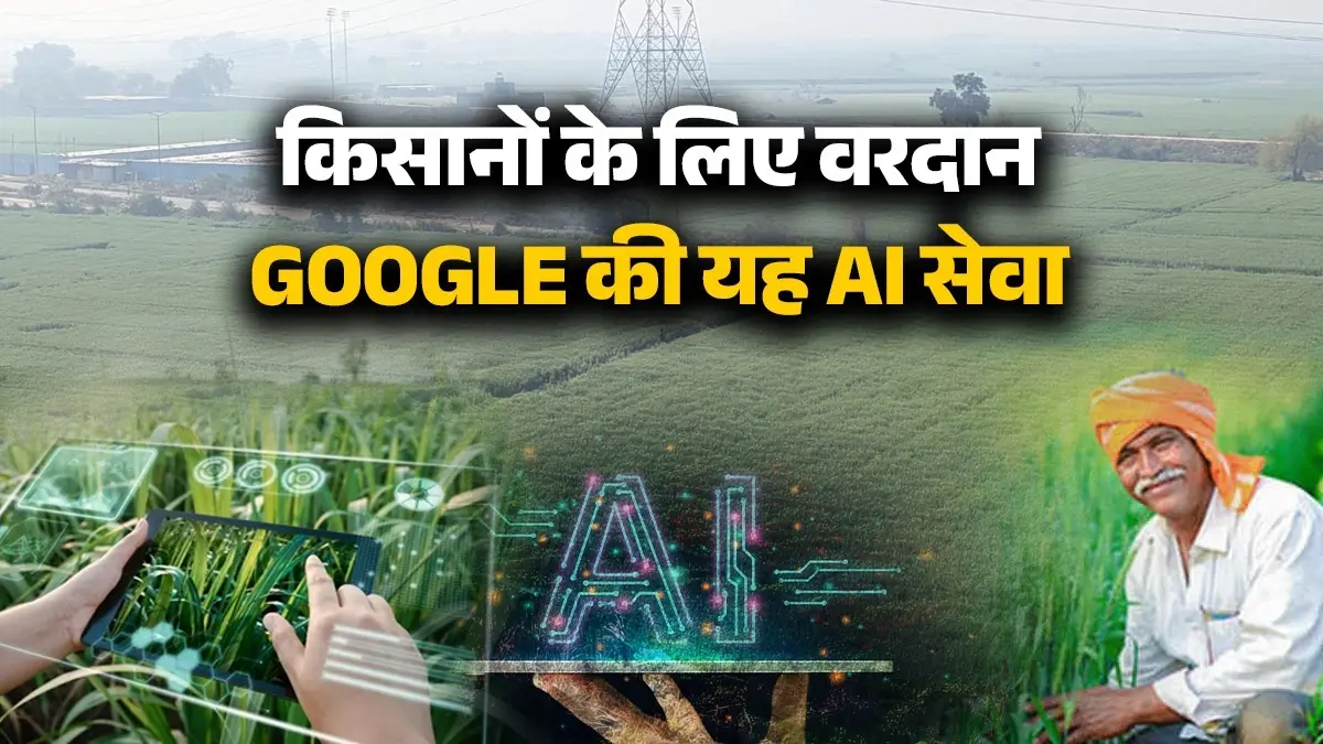 Agricultural Understanding Platform: किसानों के लिए वरदान Google की यह AI सेवा, फसल उगाने से लेकर सुरक्षा तक करती है प्रदान Google Agricultural Understanding Platform