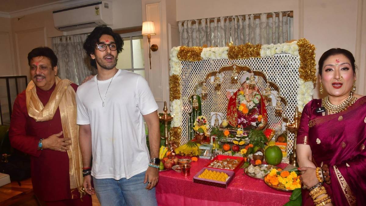 Description of the pic