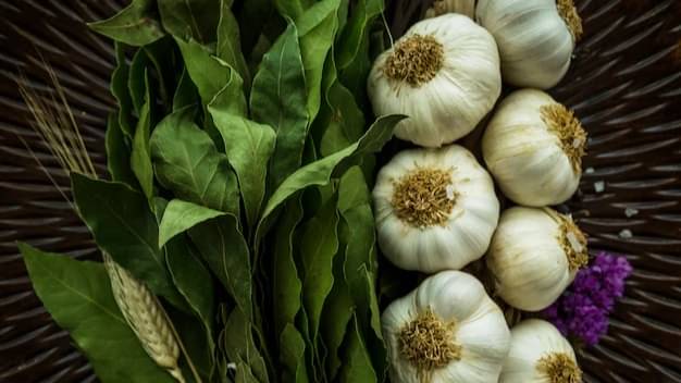 Description of the pic