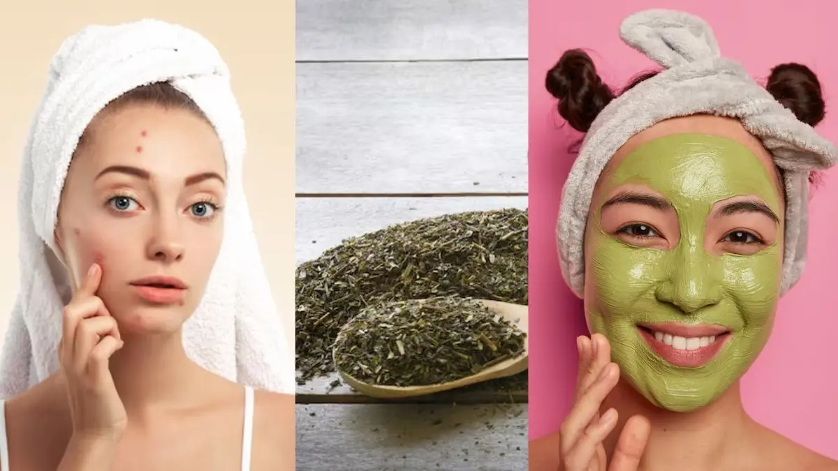 Green Tea FacePack : चेहरे पर ग्रीन टी फेसपैक लगाने से होंगे ये फायदे, जानें लगाने का सही तरीका Green Tea FacePack