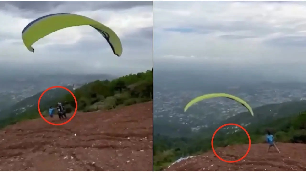 Caught on Cam: Gujarat Tourist Dies as Paraglider Crashes into Hillside in Dharamshala, Video Sparks Safety Concerns Gujarat Tourist Dies After Paragliding Crash in Dharamshala