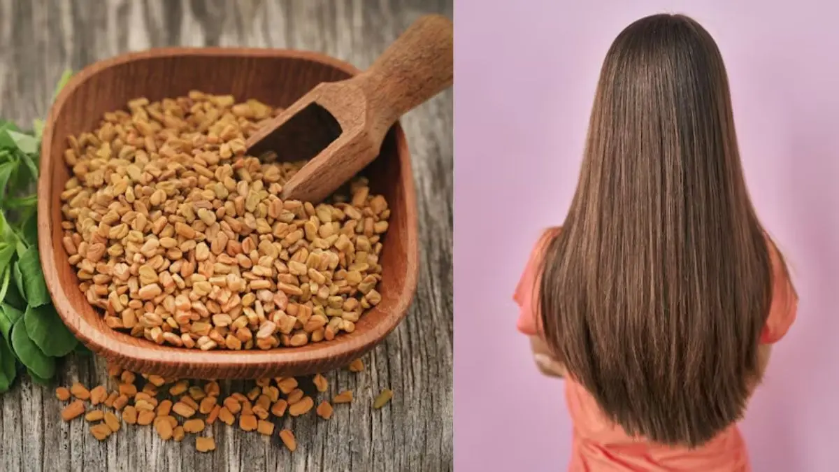 Hair Care Tips: बालों को घने और काले करने के लिए बस लगा लें ये दो चीज, हफ्तेभर में दिखने लगेगा असर Hair Care Tips