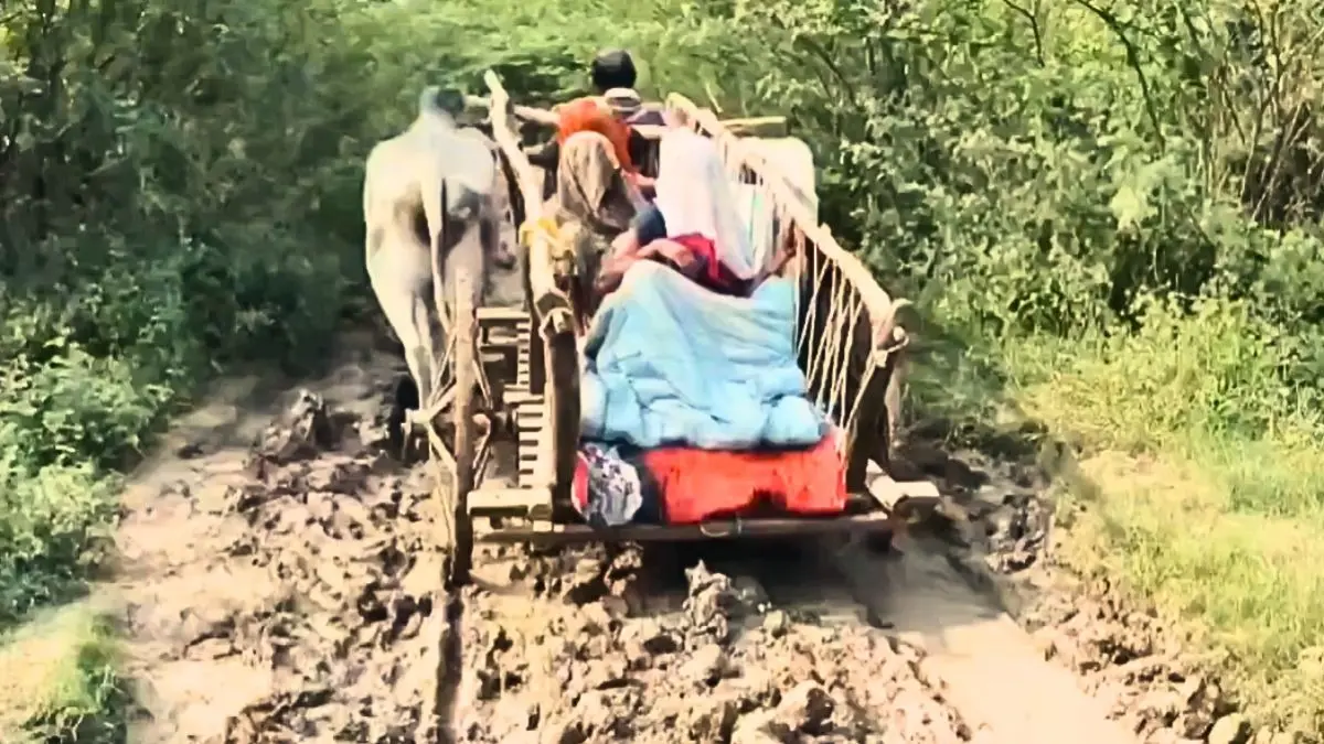 UP: हमीरपुर में प्रेग्नेंट महिला प्रसव पीड़ा से तड़पती रही, नहीं मिली एंबुलेंस तो बैलगाड़ी से 3 घंटे में पूरा किया 7 किमी का सफर, VIDEO Hamirpur pregnant woman video