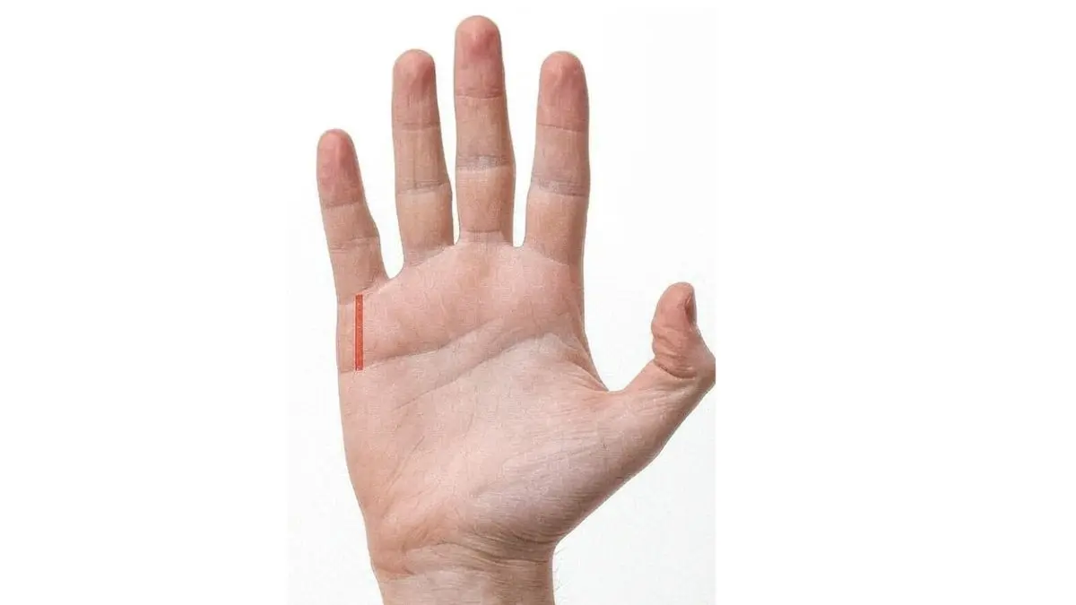 Hand lines astrology Money line