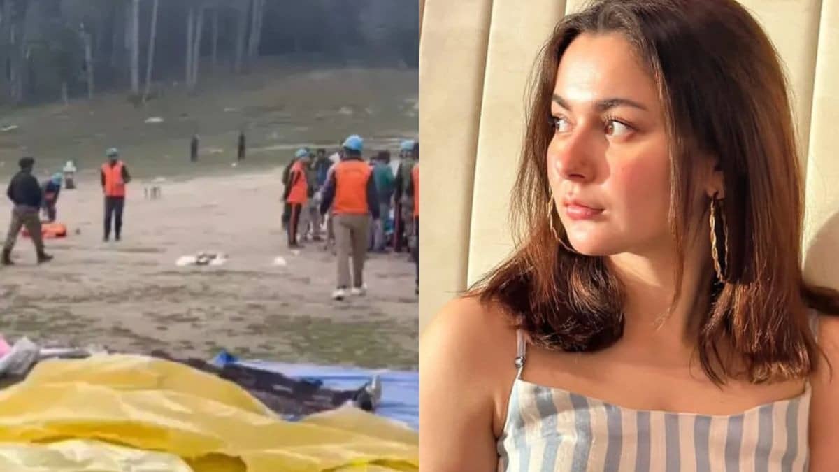 Description of the pic