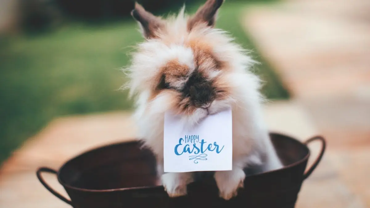Happy Easter 2025: 20+ Best Wishes, Messages, Quotes And Images To Share With Your Loved Ones Happy Easter 2025.