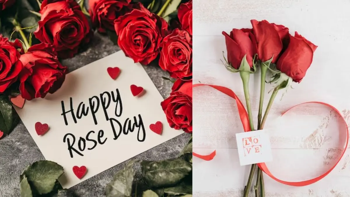 Happy Rose Day 2026 Wishes: प्यार के पहले कदम के लिए बेस्ट विशेज, इन पंक्तियों के साथ कहें दिल की बात Happy Rose Day 2026 Wishes