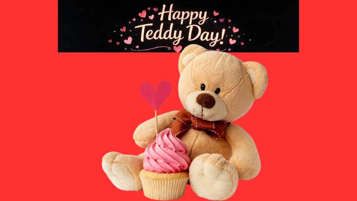 Happy Teddy Day 2026