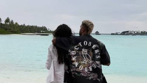 Description of the pic