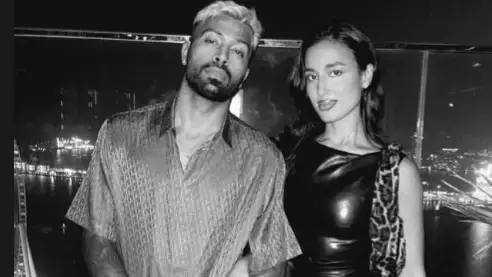 Description of the pic