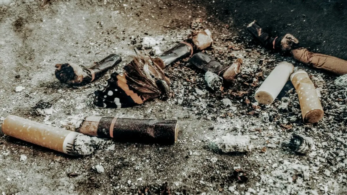 Haryana Government Bans Sale of Tobacco and Intoxicating Substances within 100 Yards of Schools Haryana Government bans sale of Tobacco and intoxicating substances within 100 yards of schools