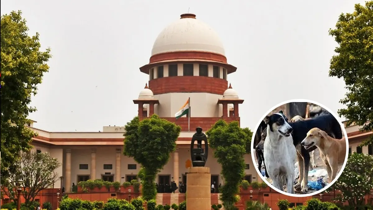 Haryana Orders Strict Action on Stray Dogs, Cattle Across State