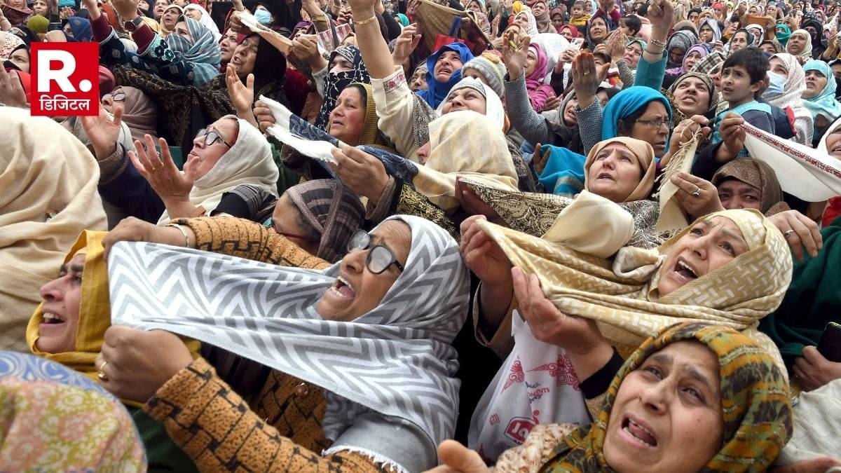 Description of the pic