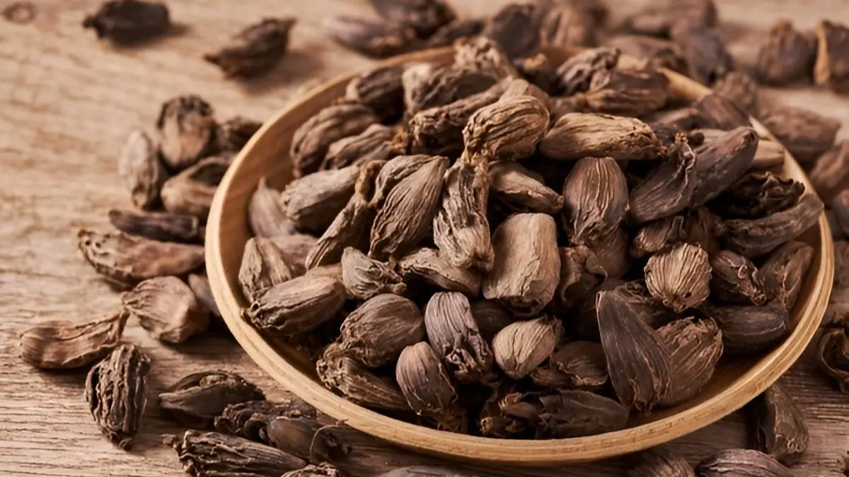 health benefits of eating black cardamom daily badi or kali elaichi ko khane ke fayde