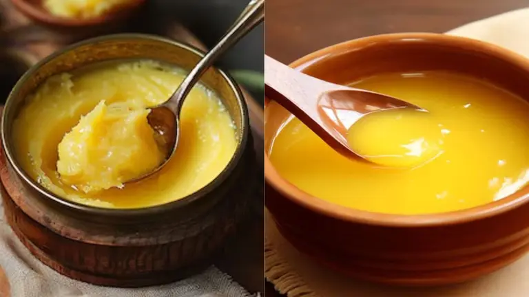 Ghee Benefits: सेहत के लिए अमृत और जहर दोनों बन सकता है घी, जानें इसे खाने का सही तरीका, मिलेंगे गजब के फायदे health benefits of ghee also know the correct way of consuming it ghee khane ke fayde