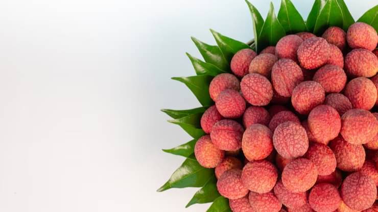 Description of the pic