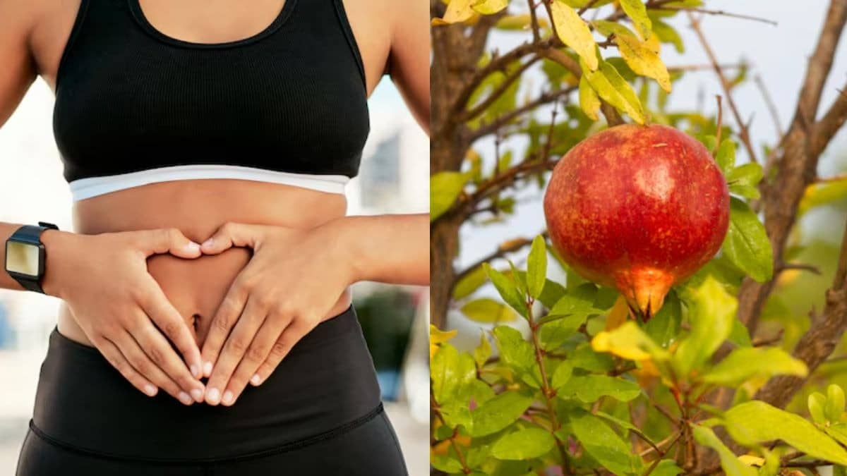 Description of the pic