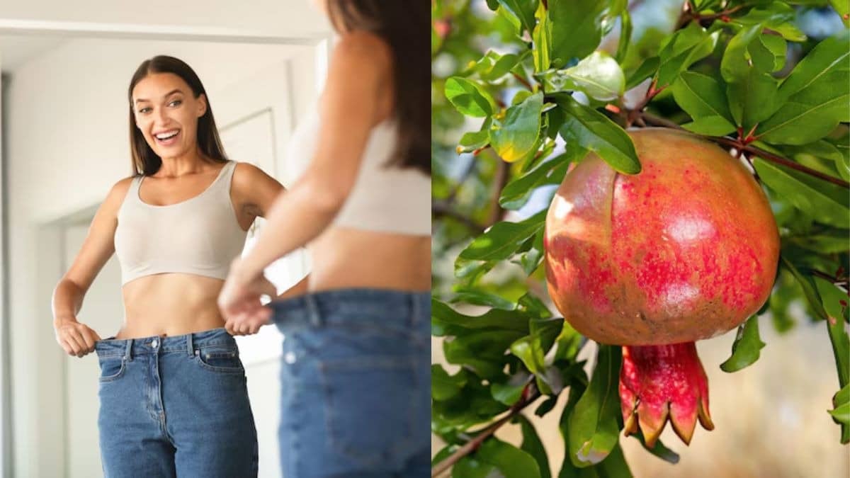 Description of the pic