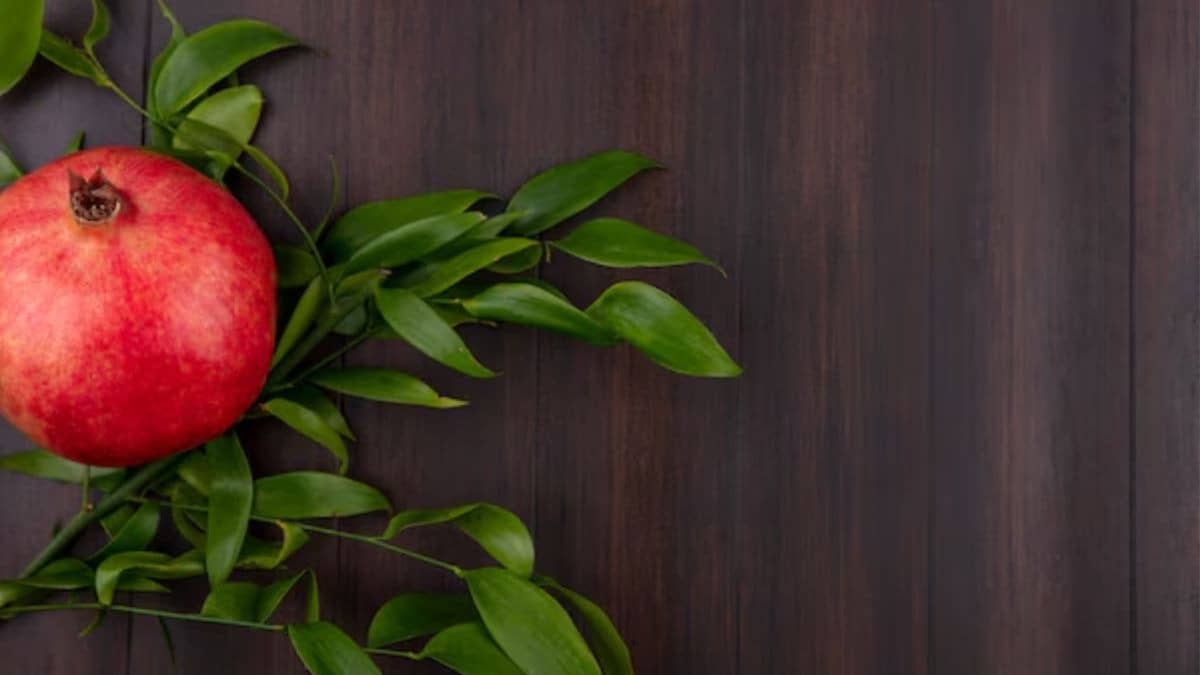 Description of the pic