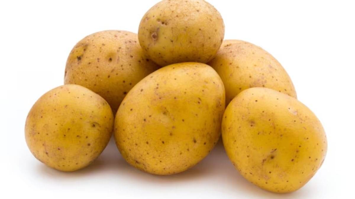 Description of the pic