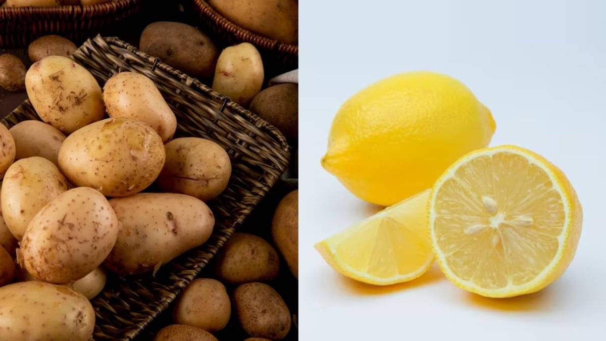 Description of the pic