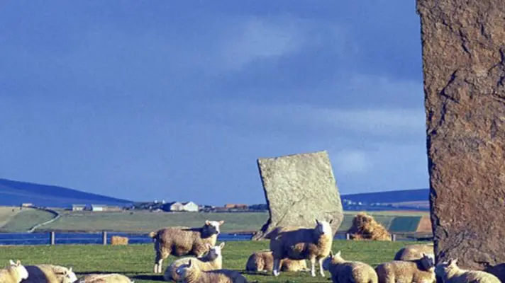 Description of the pic