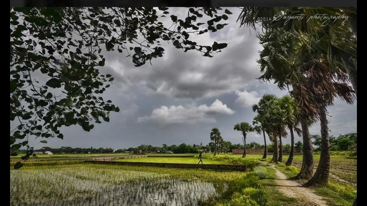 Heatwave Relief Soon? IMD Predicts Rain and Thunderstorms Across South Bengal. Know Full Forecast