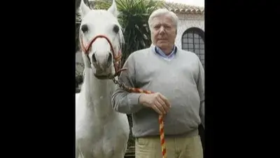 Hermes Heir, Nicolas Puech, Who Promised Rs 10,000Cr to Gardener, Claims Wealth Vanished Hermes Heir, Nicolas Puech, Who Promised Rs 10,000Cr to Gardener, Says Wealth Vanished