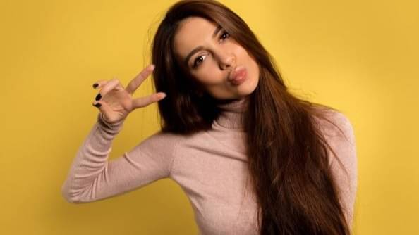 Description of the pic