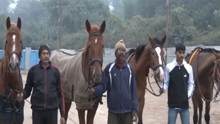 High-Tech American Warmblood Horses Deployed to Boost Security at Mahakumbh Mela