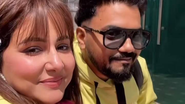 Description of the pic