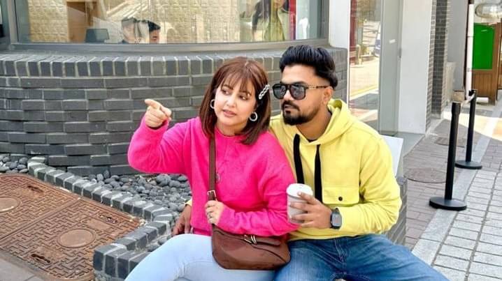 Description of the pic