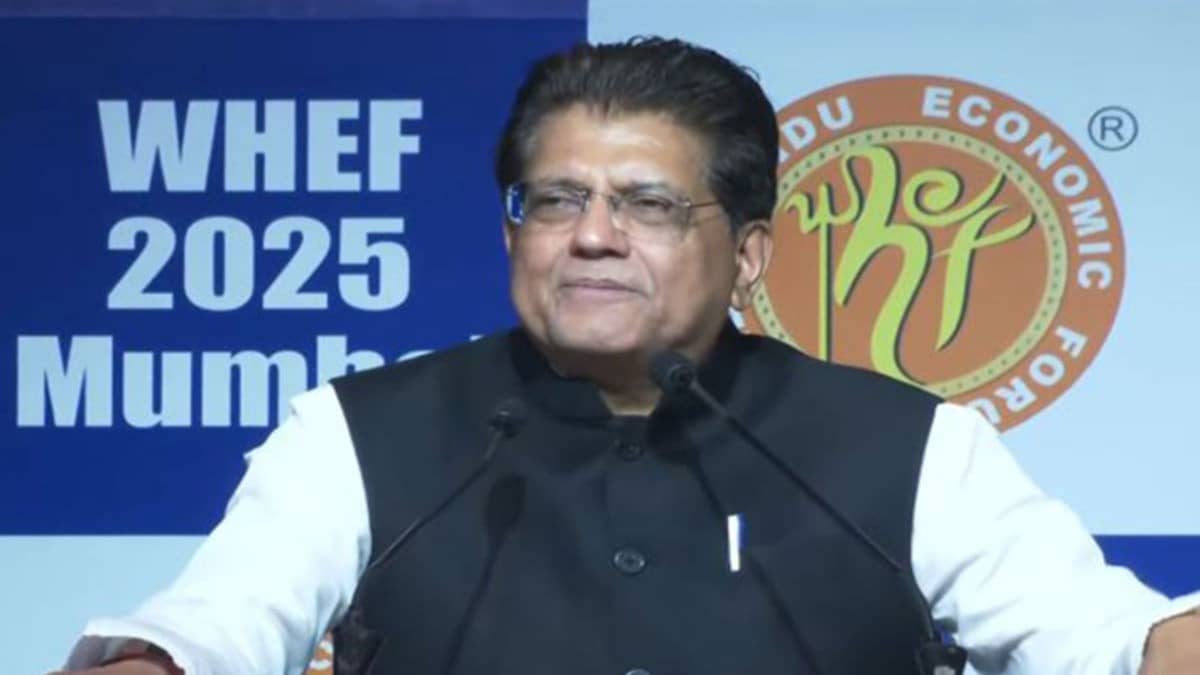 'Hindu Rate of Growth' Was Congress-era Legacy of Low Expectations: Piyush Goyal