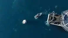 Picture-perfect splashdown! Dolphins greeted SpaceX’s Dragon as it returned stranded NASA astronauts Sunita Williams & Butch Wilmore after 286 days in space.