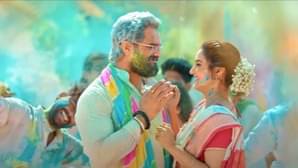 Description of the pic