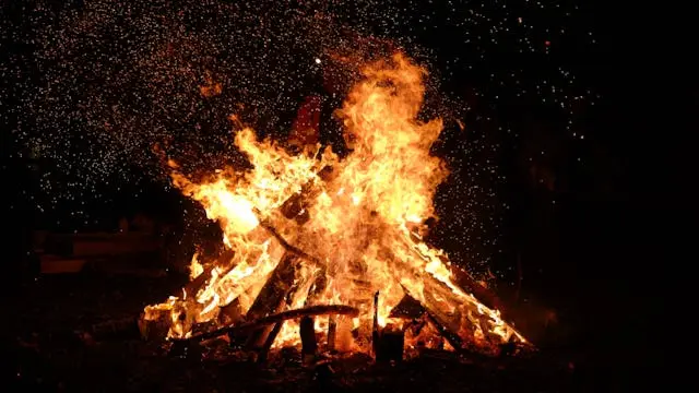 Holika Dahan Image.