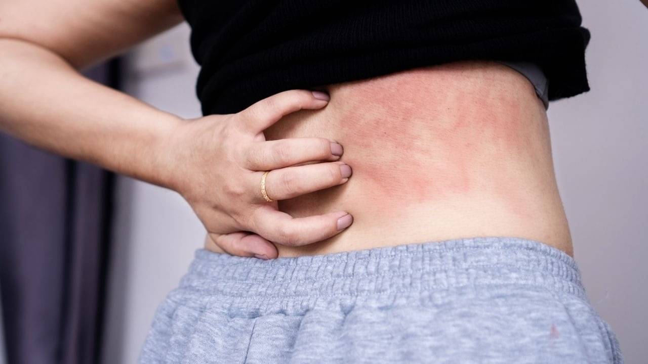 Description of the pic