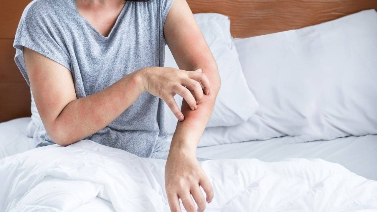 Description of the pic